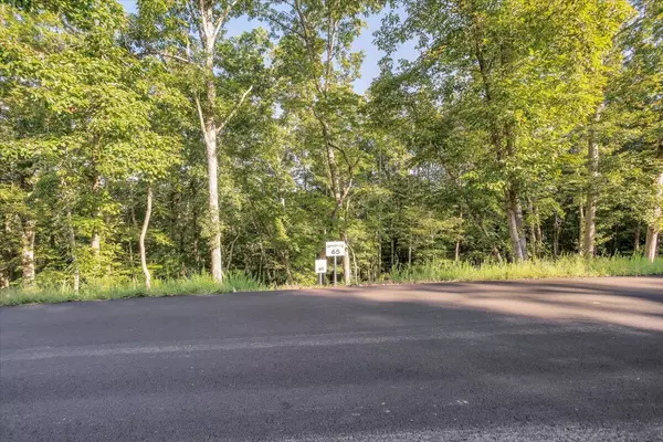 Wirtz, VA 24184,Lot 65 Ella Marie CT