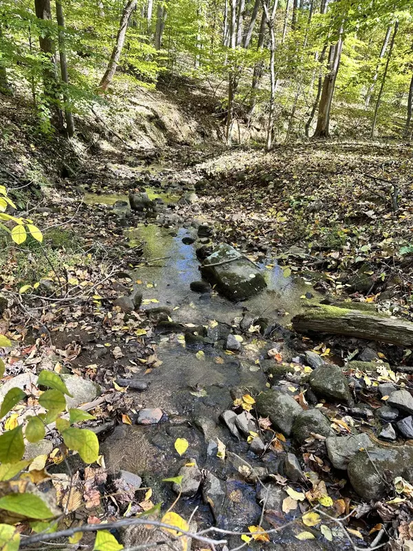 Blue Ridge, VA 24064,0 Bore Auger RD