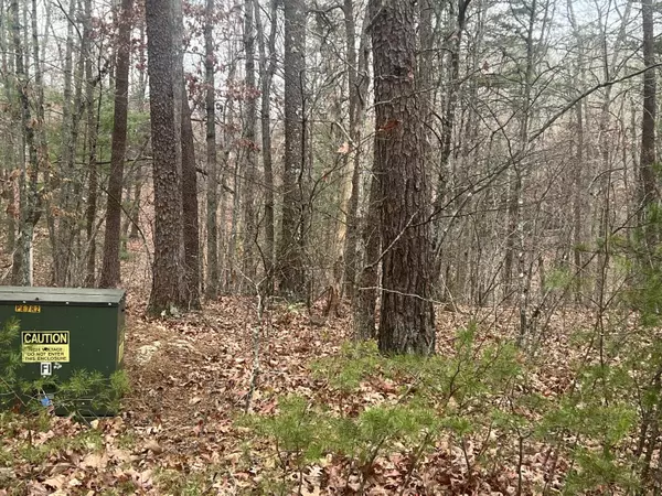 Elliston, VA 24087,2851 Lindsay DR