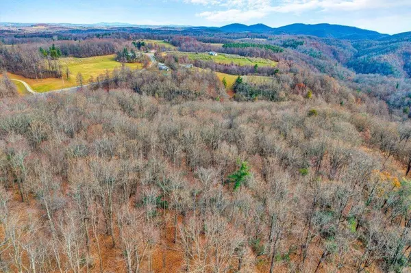 Floyd, VA 24091,15885 Woolvine Hwy