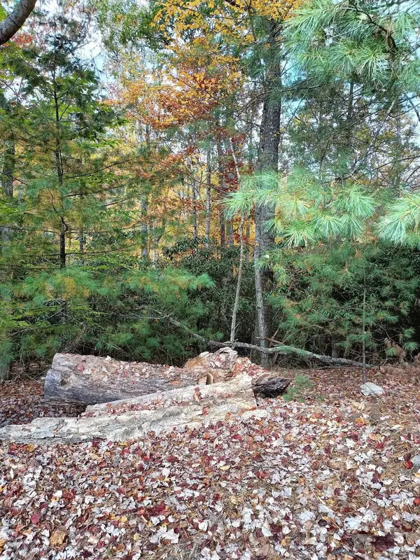 Floyd, VA 24091,297 Reed Hill RD NW