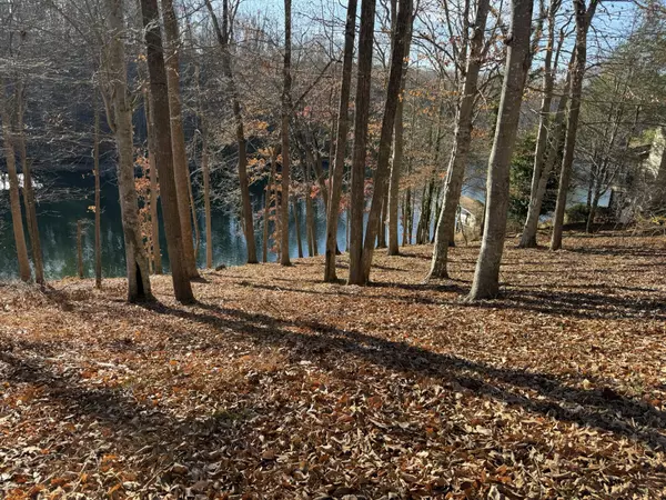 Moneta, VA 24121,Lot 3 Aspen WAY