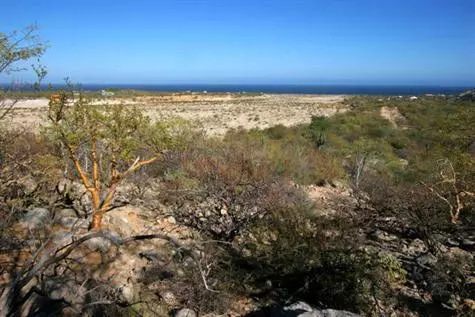 East Cape, BCS,Monte Bello