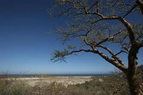 East Cape, BCS,Monte Bello