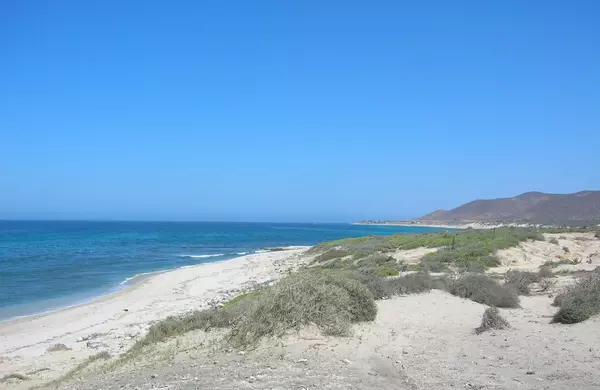 East Cape, BCS,Old road to el Cardonal