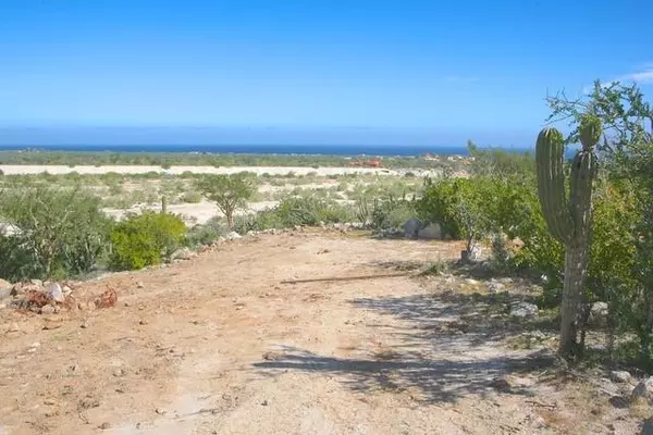 East Cape, BCS,Monte Bello