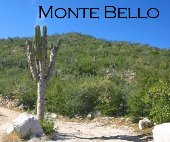 Monte Bello, East Cape, BCS