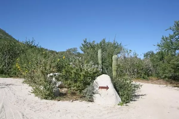 East Cape, BCS,Monte Bello