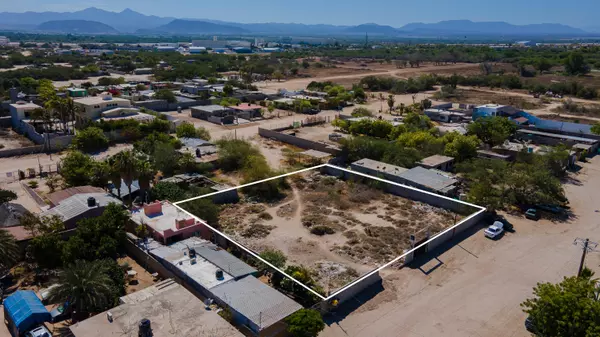 La Paz, BCS,Guanajuato