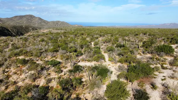 Pacific, BCS,S/N Camino a la Candelaria