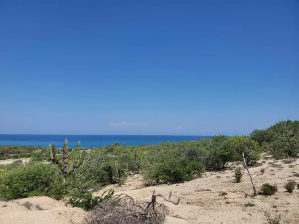East Cape, BCS,Poligono#7