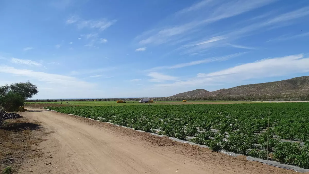 La Paz, BCS,Carretera La Paz- Todos Santos