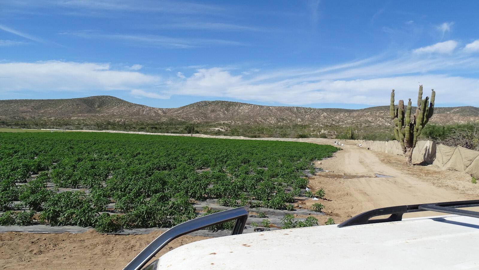 La Paz, BCS,Carretera La Paz- Todos Santos