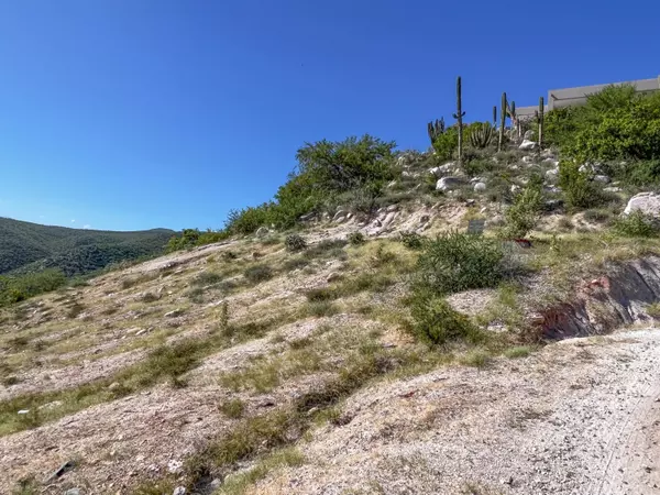 East Cape, BCS