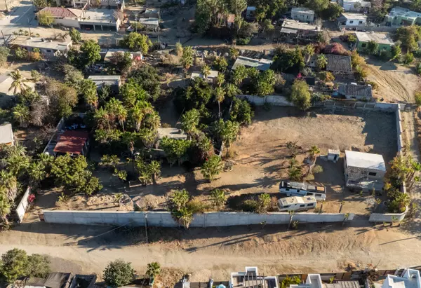 Pacific, BCS,#6 ZONA 1