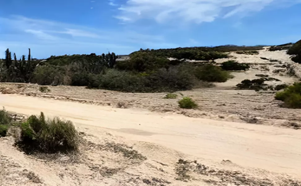 Pacific, BCS