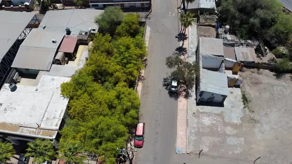 Mulege, BCS,Jardin corona