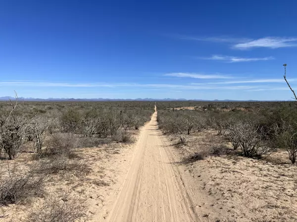 Comondu, BCS,km 43