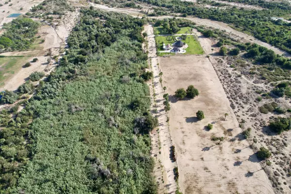 San Jose Del Cabo, BCS,Posible Verde