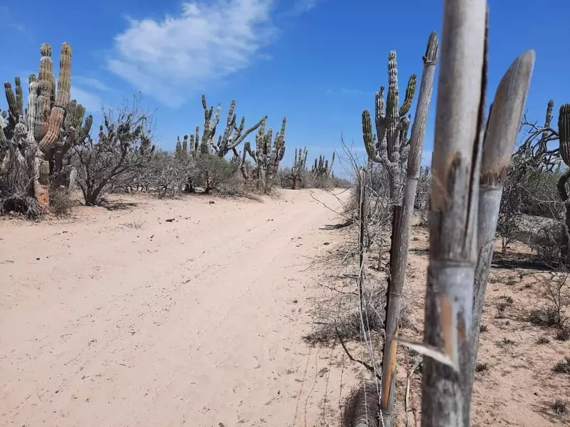 km 36 Carr. Al Nte, La Paz, BCS