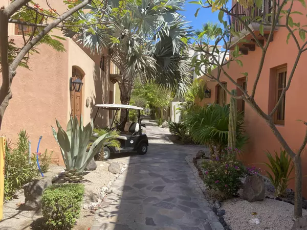Loreto, BCS,Rio Blanco