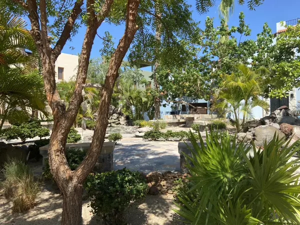 Loreto, BCS,Rio Blanco