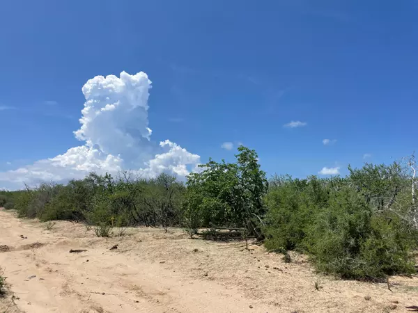 East Cape, BCS