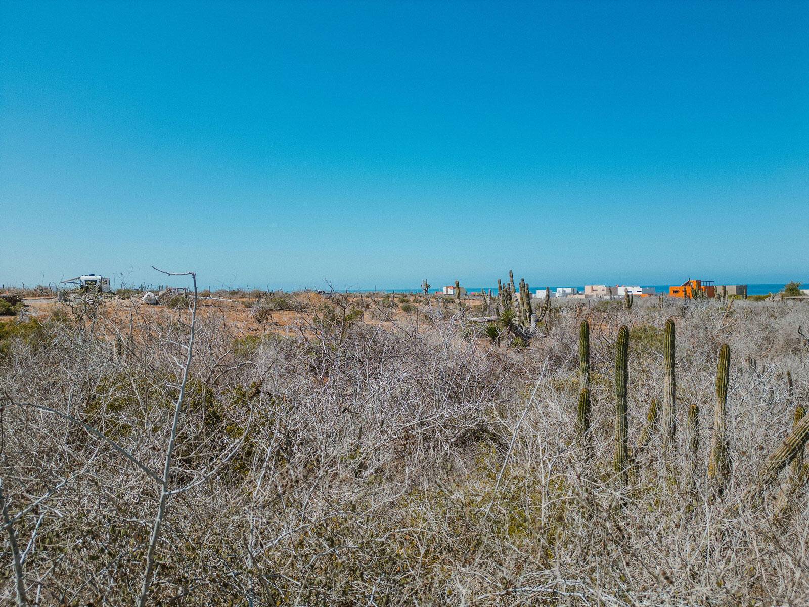 Pacific, BCS