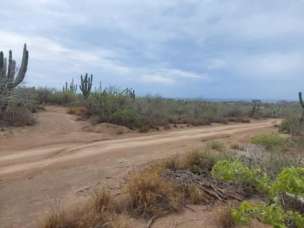 Pacific, BCS,SIN NUMERO SIN NOMBRE