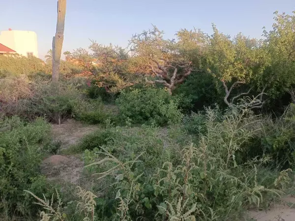 East Cape, BCS
