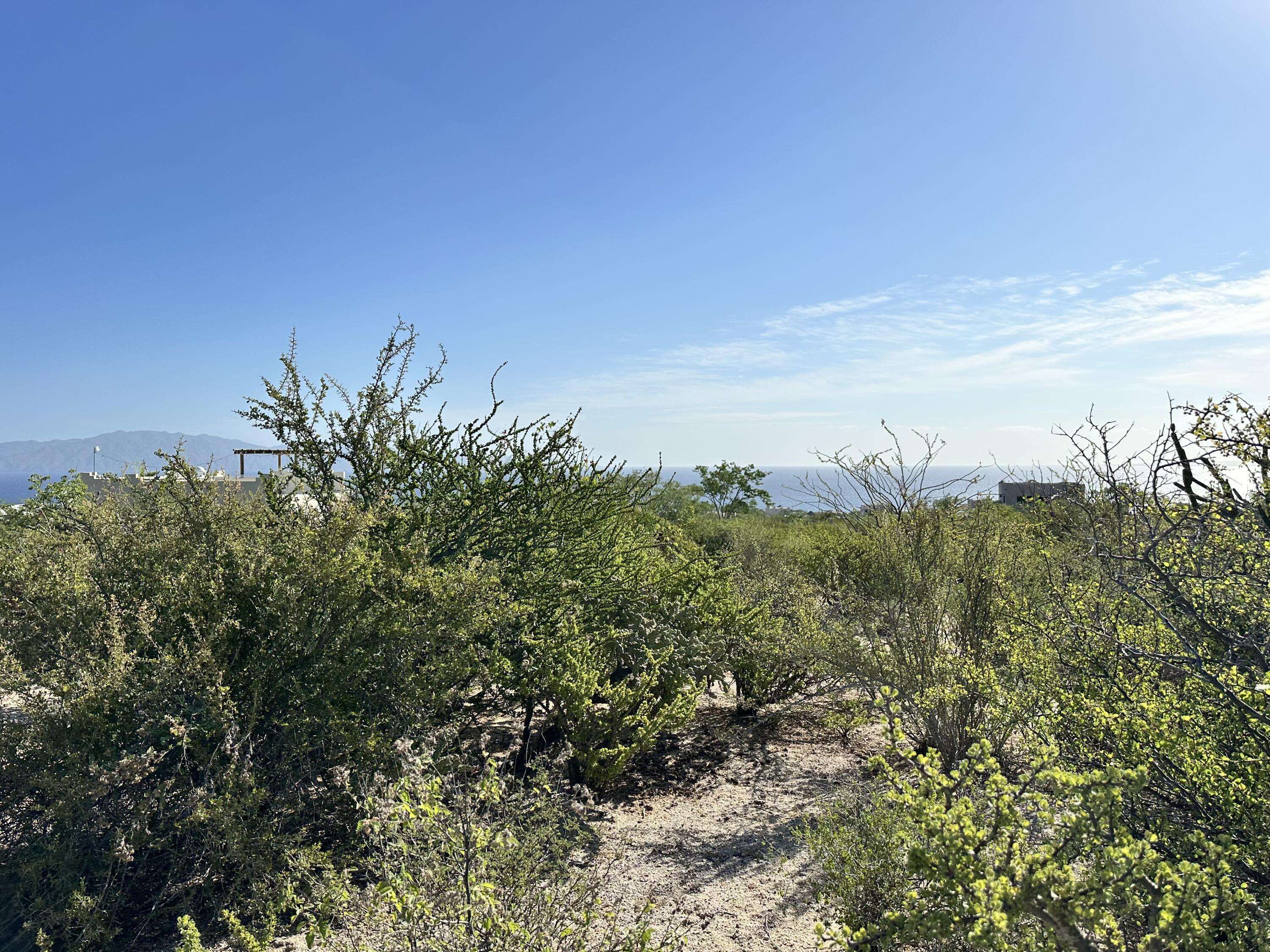 La Paz, BCS
