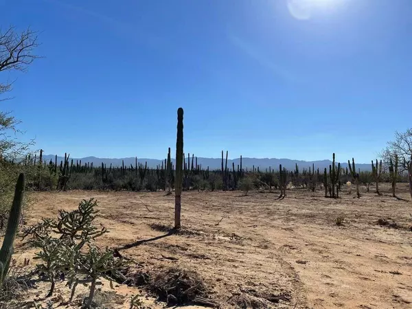 La Paz, BCS