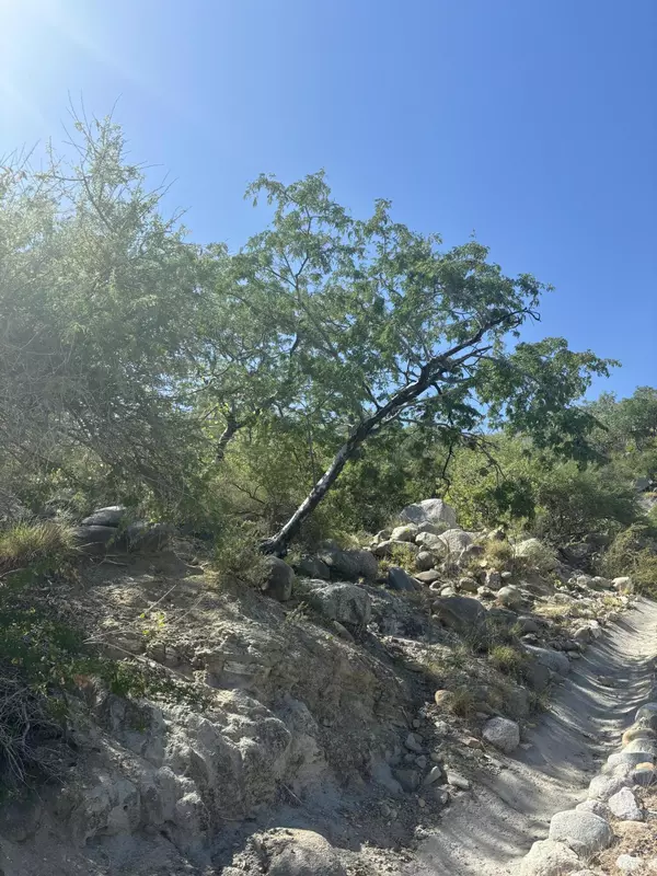 East Cape, BCS