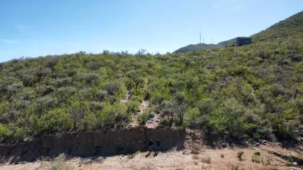 East Cape, BCS