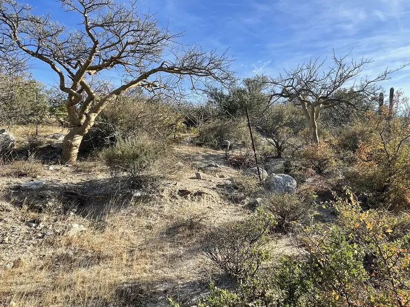 East Cape, BCS