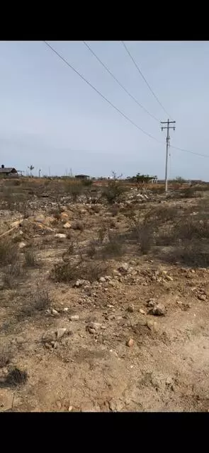 Pacific, BCS