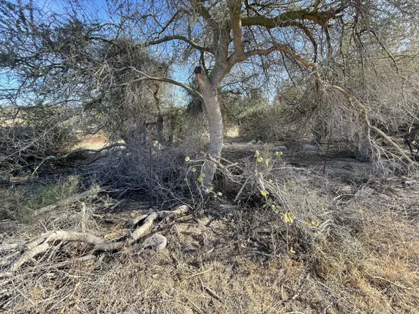 East Cape, BCS