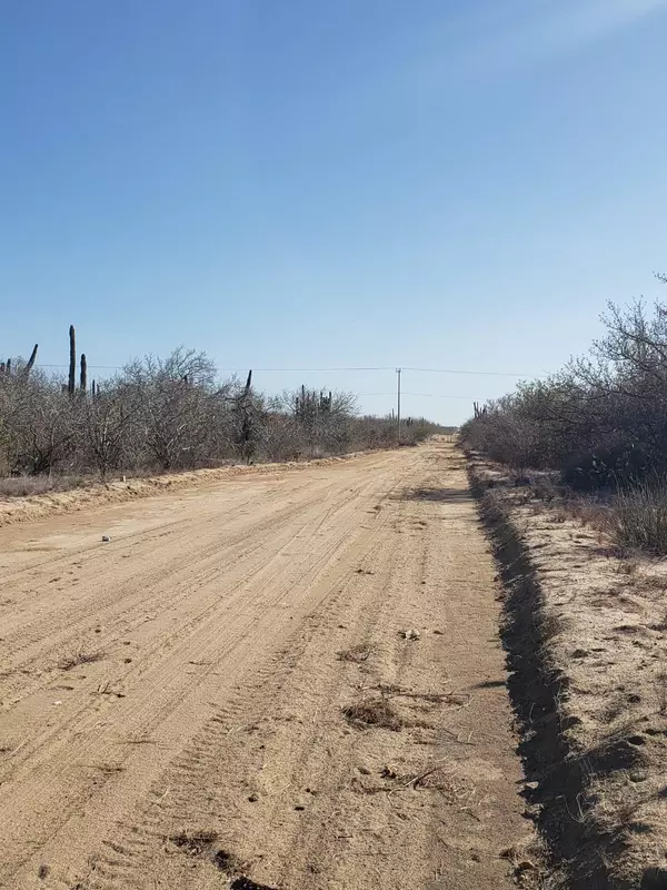 La Paz, BCS