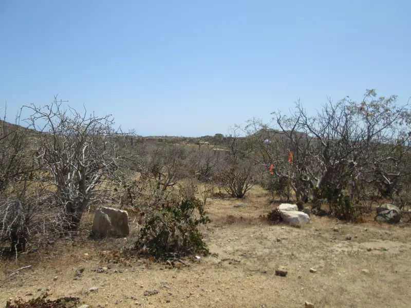 ALTOS ALTOS  0-16, East Cape, BCS