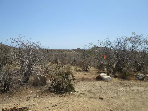 ALTOS ALTOS  0-16, East Cape, BCS
