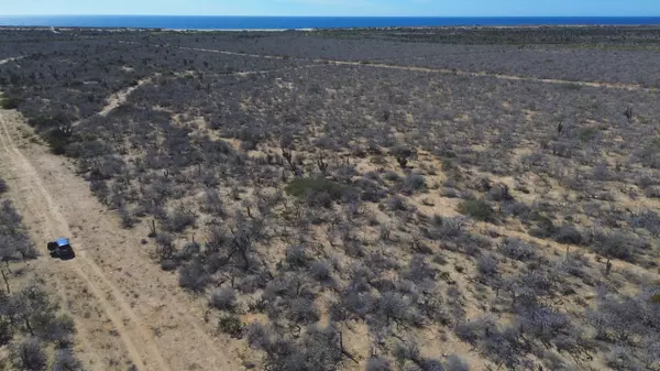 Pacific, BCS