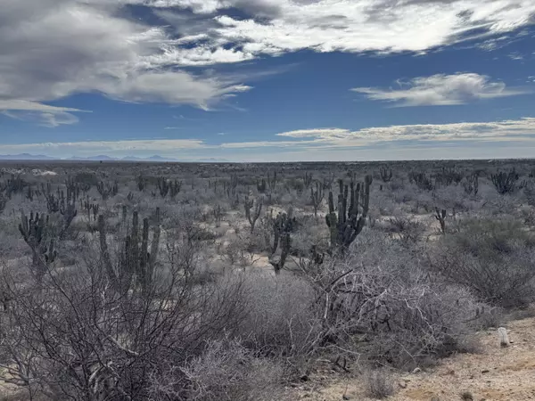 La Paz, BCS,Camino de la Lisa