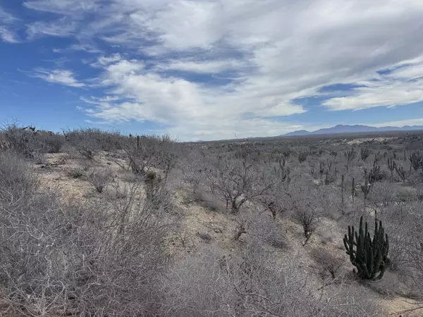 La Paz, BCS,Camino de la Lisa