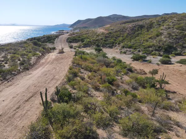 East Cape, BCS