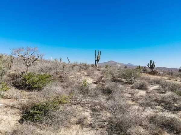 Pacific, BCS
