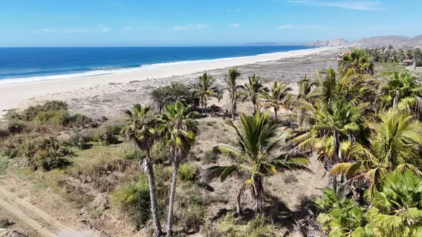 Pacific, BCS,B beach road