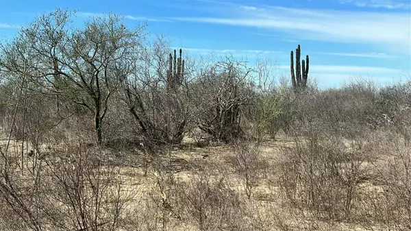 La Paz, BCS,El Carrizal