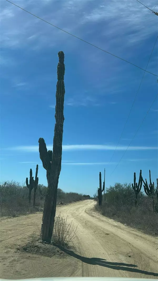 La Paz, BCS,El Carrizal