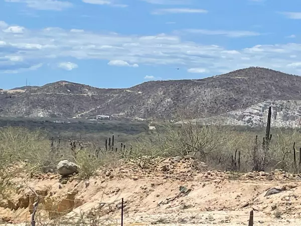 East Cape, BCS