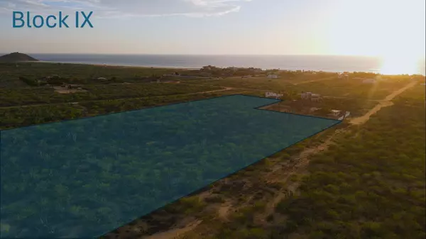 Pacific, BCS,09 La Laguna 18